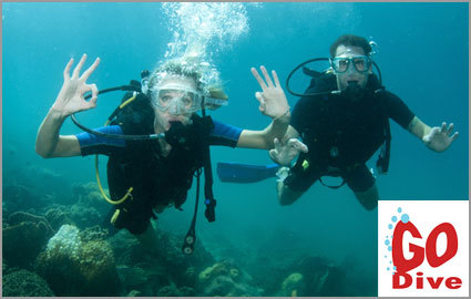 CHF 59 instead of CHF 118 for a Discover Scuba Diving Course with GO Dive 
(incl about 1 hour of theory & 1 hour of diving) Photo