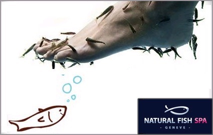 CHF 32 Instead of CHF 65 for a 30 Minute Garra Rufa Fish Pedicure at Natural Fish Spa Photo