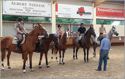 CHF 40 Instead of CHF 80 for 60 Minute 1-on-1 Horse Riding Lesson, in EN or FR at Manège d'Evordes.  No Experience Necessary.  Lessons Can be Indoors or Out  Photo