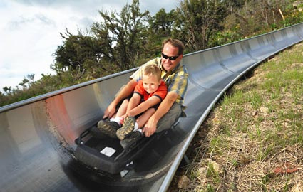 CHF 52 From CHF 26 
Got kids? They'll love this!  
5 Bob-Sled runs and unlimited Tire-Tube runs for 2 people at Orange-Montisel, just 45 min from Geneva Photo