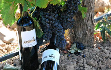  CHF 190  CHF 95 (Incl Delivery)
12 bottles of Spanish Evohé Bajo Aragon 2009 Garnacha, ranked 94/100 and 