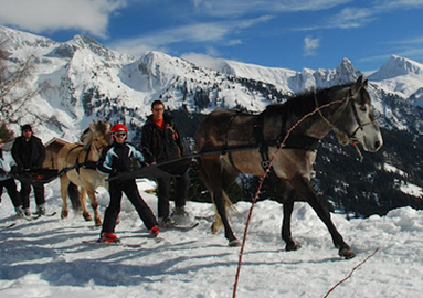 Discover a brand new experience! Ski-Joering: cross country skiing pulled by horses, in La Clusaz (just 45 min from Geneva). CHF133 instead of CHF 267 for 2 people; options for up to 6 people  Photo