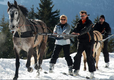 Discover a brand new experience! Ski-Joering: cross country skiing pulled by horses, in La Clusaz (just 45 min from Geneva). CHF133 instead of CHF 267 for 2 people; options for up to 6 people  Photo