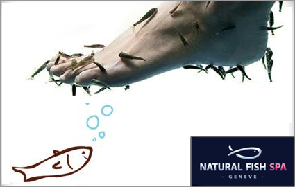 Pay CHF 32 Instead of CHF 65 for a 30 Minute Garra Rufa Fish Pedicure at Natural Fish Spa Photo