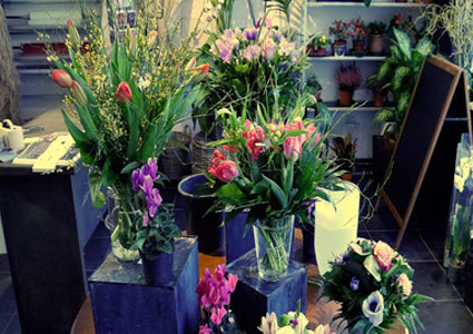 Show Your Love with Flowers!
Pay CHF 39 for a CHF 80 Credit at Fleurs du Molard in Plainpalais.  Valid for flowers, bouquets, plants, vases & more Photo