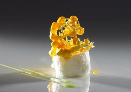 Denis Martin (18/20 GaultMillau) in Vevey: Unique Molecular-Gastronomy Experience incl Culinary Show in Chef Martin's Laboratory and 20-Course Dinner 
CHF 450 CHF 299 for 1 Person  Photo