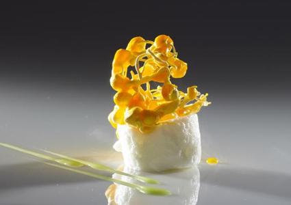 Denis Martin (18/20 GaultMillau) in Vevey: Unique Molecular-Gastronomy Experience incl Culinary Show in Chef Martin's Laboratory and 20-Course Dinner 
CHF 450 CHF 299 for 1 Person  Photo