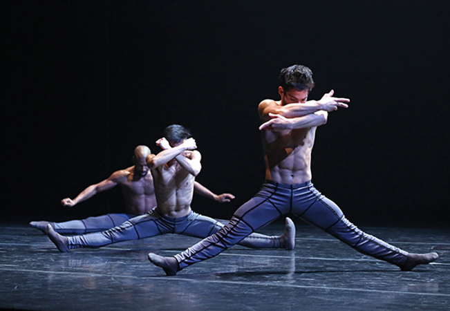 Winner: New York Times Critics Choice Awards

New York's Complexions Contemporary Ballet by Dwight Rhoden: Choreographer of Cirque du Soleil


	Friday Mar 17 Sold Out
	Saturday Mar 18 
	 

 Photo