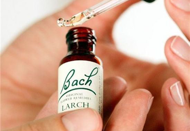 Personalised Bach Flowers® Remedy for Mind & Body at Grether Therapy & Emotional Coaching (Certified by London's Bach Flower Therapy Foundation)
Incl session with certified practicioner + personalised remedy to take home
 Photo