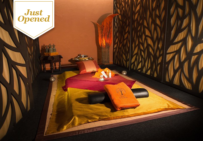 Just Opened

The Brand-New Stunning Terre des Sens Spa (Rive)
Choose 1h Massage:


	Thai (Traditional or Oil)
	Relaxing Prenatal
	Back & feet
	Sport
	More

 Photo