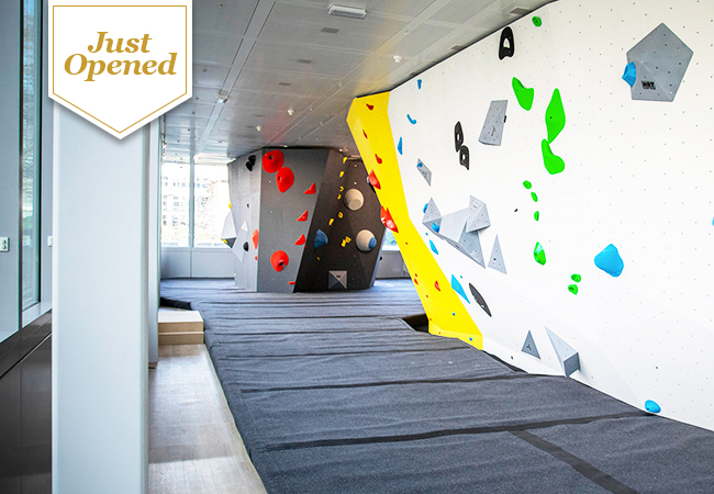 Just Opened

​Indoor Bouldering (Low-Height Rock Climbing) for All Ages & Levels at Planet Climbing in Petit-Lancy


	5 entries: 85 CHF 39
	10 entries: 160 CHF 79
	1-year membership: 990 CHF 649


 

 

 

 

 
 Photo
