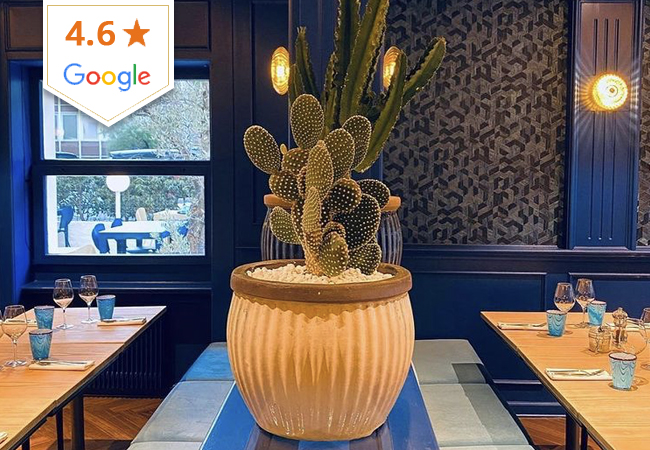 4.6 Stars on Google
​Seafood & Fish at OCTOPUS (Champel): CHF 120 Credit Valid 7/7 Dinner & Lunch

Recently-opened and highly-rated, Octopus serves all kind of fresh seafood & fish with a focus on signature octopus dishes
 Photo