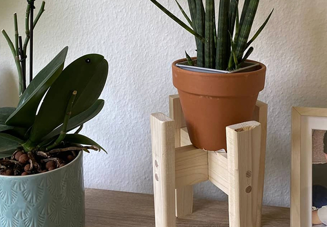 5 Stars on Google
Woodworking Workshop at Knock-on-Wood Craft Factory (Geneva Center). Create Your Own Wall-Clock, Sushi/Cheese Board or Plant-HolderEach workshop is 2h30, teacher & all material included, afterwork or Sundays. In English & French, from age 16. For beginners
 Photo