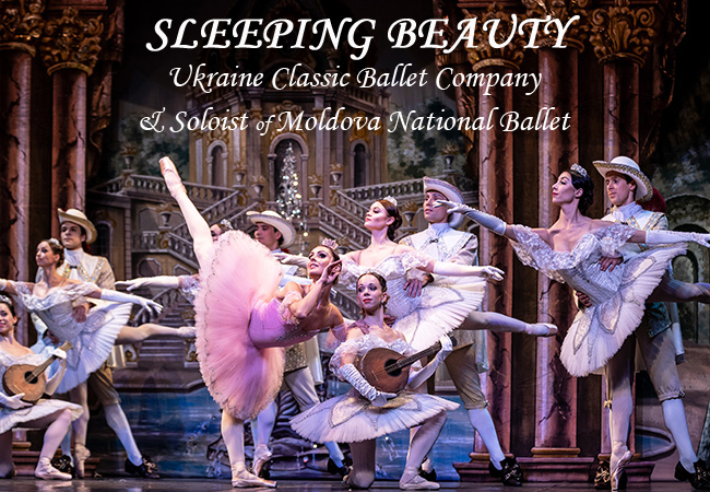 Sunday Afternoon Show for All Ages
​Sleeping Beauty Ballet Starring Nikolai Nazarchevici: Soloist of Moldova National Ballet, with Dancers of Ukraine Classic Ballet Company. June 12 @ 15h, BFM​
 Photo
