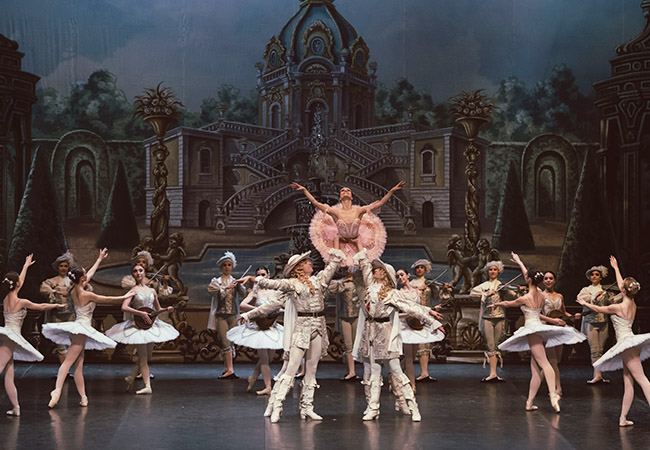 Sunday Show for All Ages
Sleeping Beauty Ballet Starring Principal Dancer of Kyiv City Ballet with Dancers of Ukraine Classic Ballet Company: Dec 18 @ 15h, BFM
 Photo