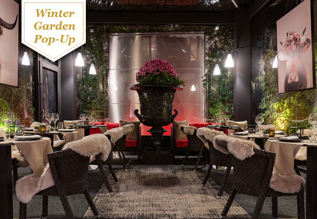 Winter Pop-Up
Fondue at the Winter Garden of Eastwest Boutique Hotel (Geneva Center). 1 Voucher = CHF 100 CreditGet the full Swiss-winter experience with great fondue, rustic vibes, fur on the seats & more
 Photo