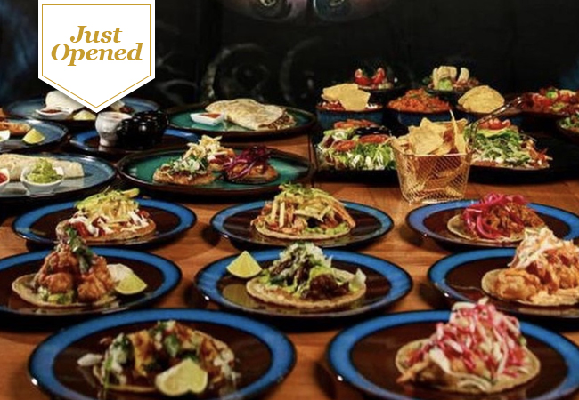 Just OpenedMexican Cuisine & Cocktails at El G&uuml;ey (Eaux-Vives): CHF 100 Credit

Eaux-Vive&rsquo;s newest Mexican is already rated 4.7* on Google and has lively post-dinner vibes
 Photo