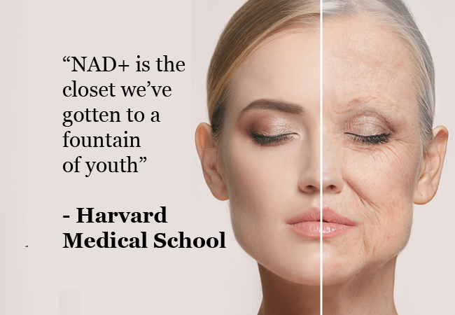 &ldquo;The closest we've got to a fountain of youth&rdquo; - Harvard Medical
NAD+ Infusion at Capital Care Clinic (Geneva Center)Boost the molecule that fuels every single cell in your body and determines how fast (or slow) you age
 Photo