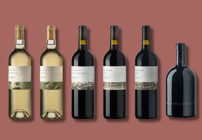 Gold Medal - Geneva S&eacute;lection des Vins
6 Bottles from Domaine de La Gara, Jussy - Established 1753
Hand-harvested, award-winning, organic wines from one of Geneva's oldest estates



​​
 Photo