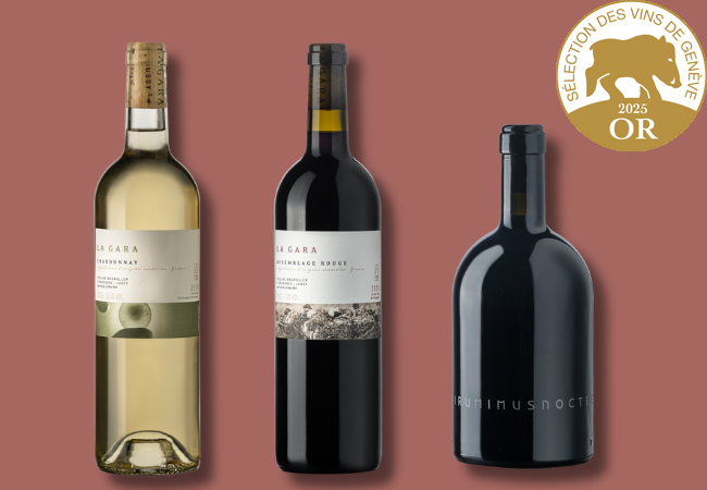 6 Bottles from Domaine de La Gara, Jussy