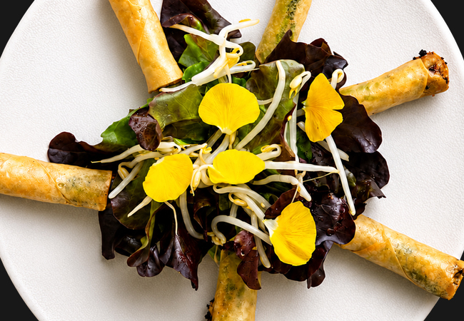 4.6* on Google
Le Flacon (Carouge): 150 Food Credit​​​
A new chapter for Carouge's long-time Michelin-starred address - now re-imagined as a relaxed French bistro​​ Photo