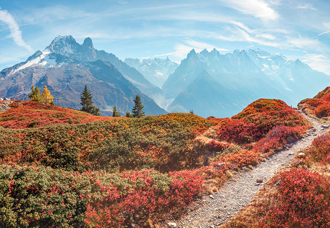 "Excellent" on Hotels.com
Chamonix Les Aiglons 4* Hotel & Spa: Overnight Stay for 2 + Breakfast + Spa Access

Wake up to Mont Blanc views, explore everything Chamonix has to offer, then  unwind in the spa
 
 Photo
