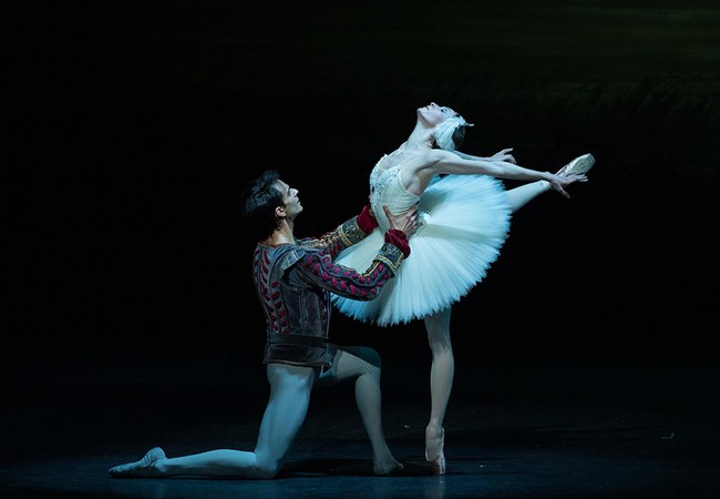 "Maia Makhateli is mesmerizing" - Bachtrack
Swan Lake Ballet: Nov 23 @ SwissTech CenterStarring Maia Makhateli: Dutch National Ballet's principal dancer
 Photo