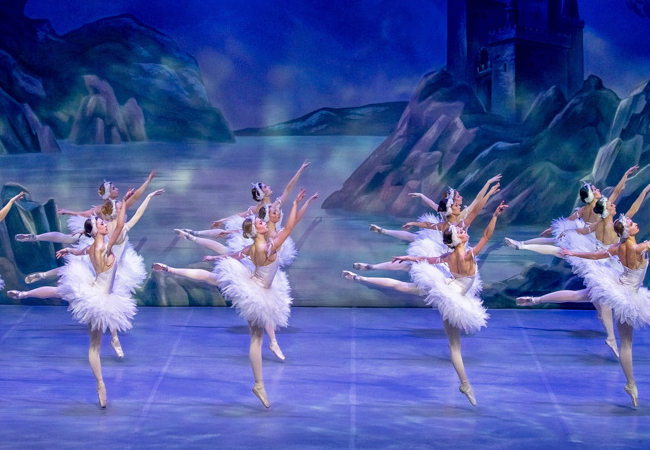 Swan Lake Ballet: Nov 23 @ SwissTech Center